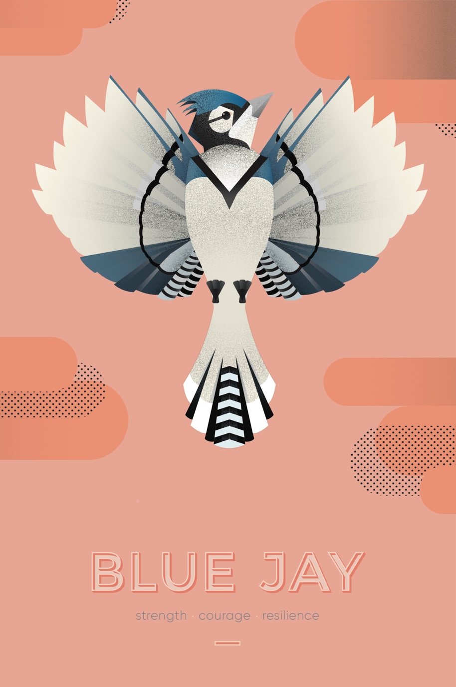 Miranda Fragomenis Poster of a Blue Jay